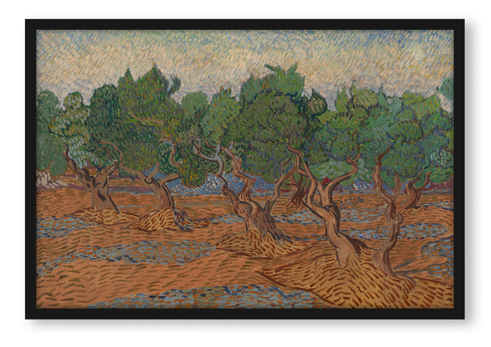 Vincent Van Gogh - Oliven-Hain , Poster mit Bilderrahmen