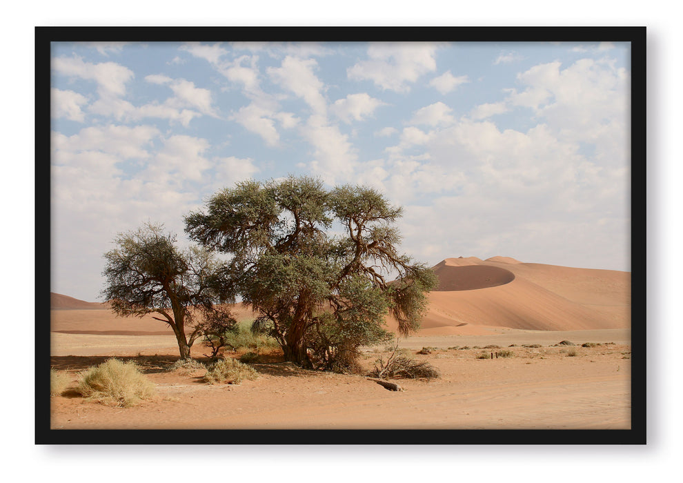 Pixxprint Bäume in Wüstenlandschaft, Poster mit Bilderrahmen