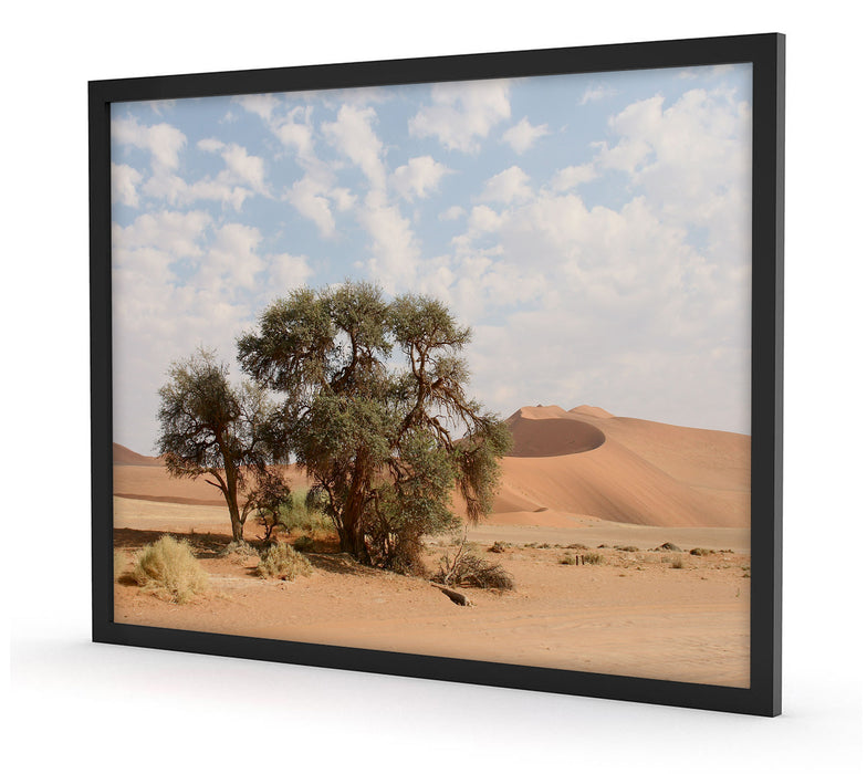 Bäume in Wüstenlandschaft, Poster mit Bilderrahmen