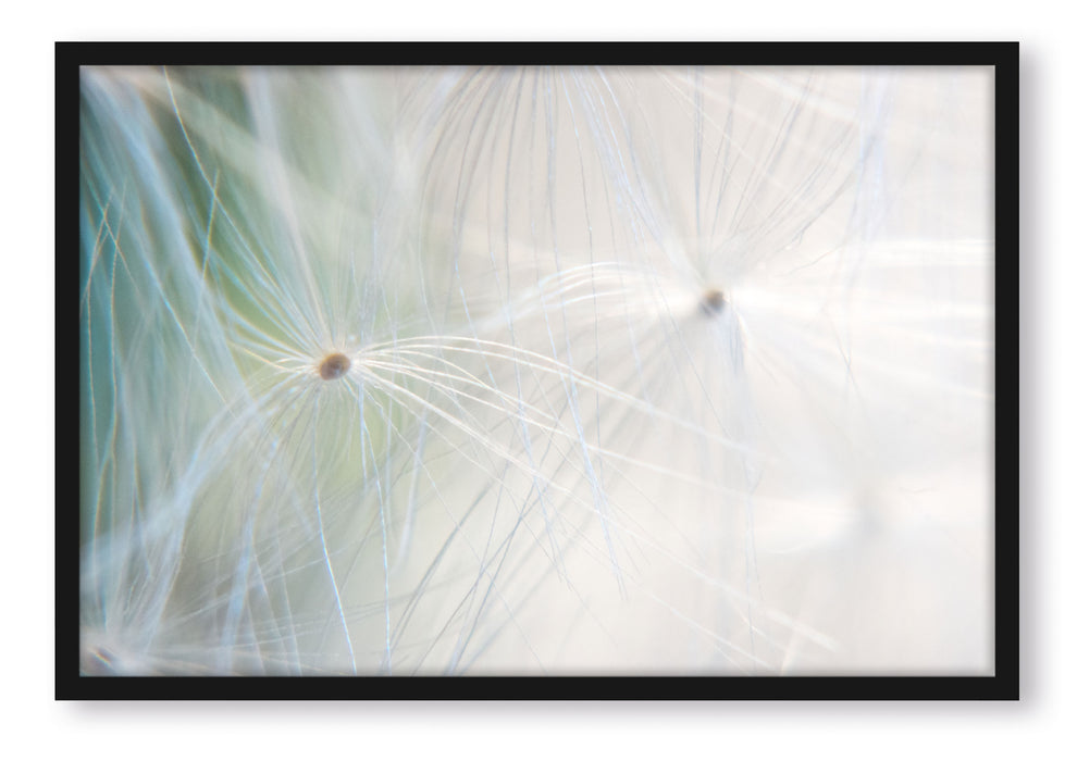 Pixxprint zarte Pusteblumenpollen, Poster mit Bilderrahmen