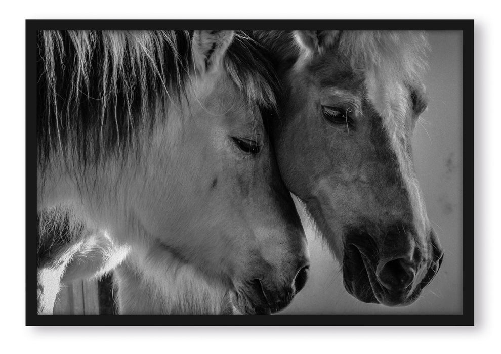 zwei liebevolle Pferde, Poster mit Bilderrahmen