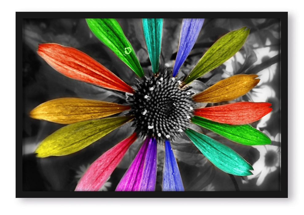 Pixxprint bunte Blütenblätter, Poster mit Bilderrahmen