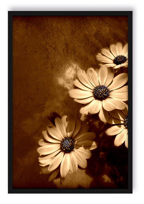 Pixxprint Margareten an Hauswand, Poster mit Bilderrahmen