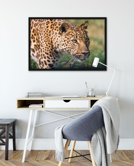 schleichender Leopard, Poster mit Bilderrahmen