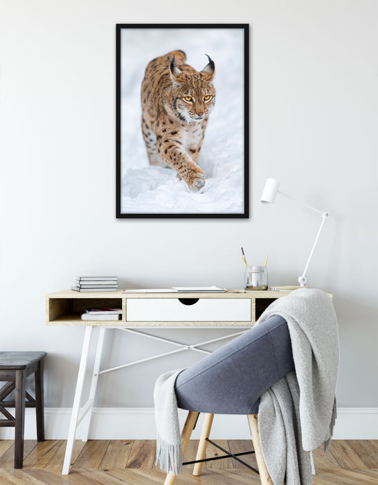 Luchs im Schnee, Poster mit Bilderrahmen