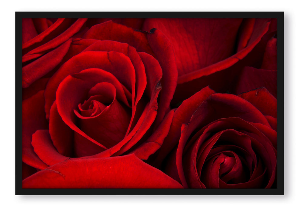Pixxprint rote Rosen, Poster mit Bilderrahmen