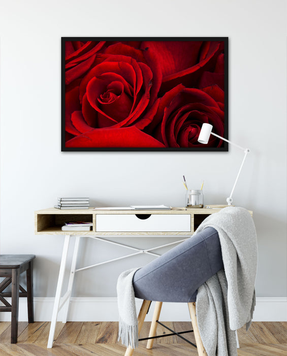 rote Rosen, Poster mit Bilderrahmen