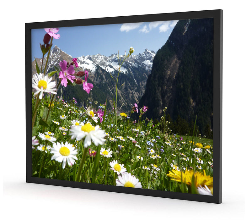 Wunderschöne Blumen Alpenwiese, Poster mit Bilderrahmen