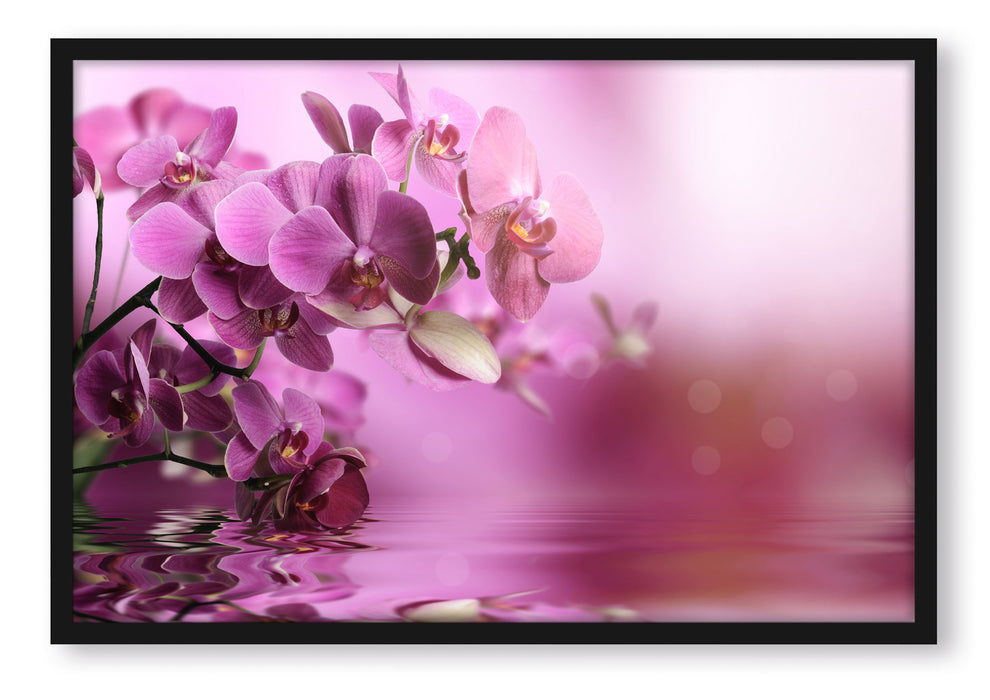 Pixxprint Wunderschöne Orchideenblüten, Poster mit Bilderrahmen