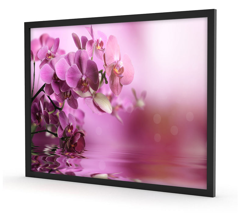 Wunderschöne Orchideenblüten, Poster mit Bilderrahmen