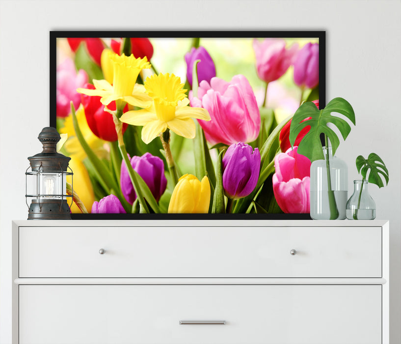 Osterglocken und Tulpen, Poster mit Bilderrahmen