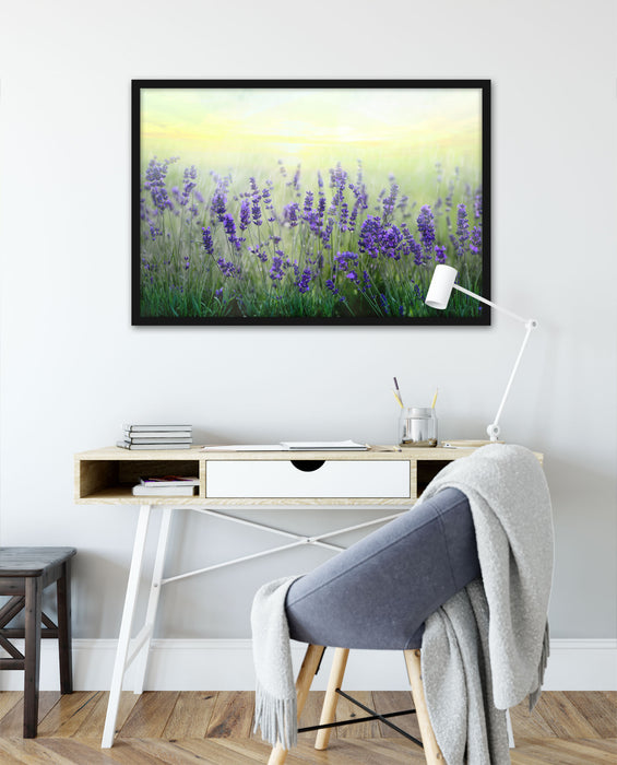 Schöner Lavendel im Regen, Poster mit Bilderrahmen