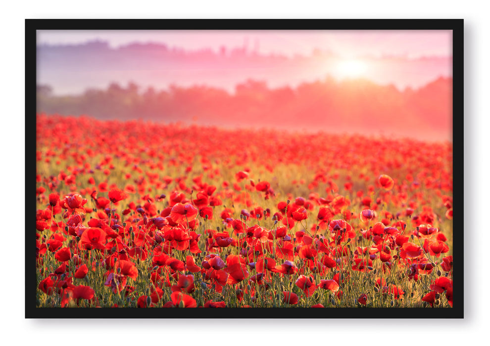 Pixxprint Mohnwiese im Sonnenschein, Poster mit Bilderrahmen