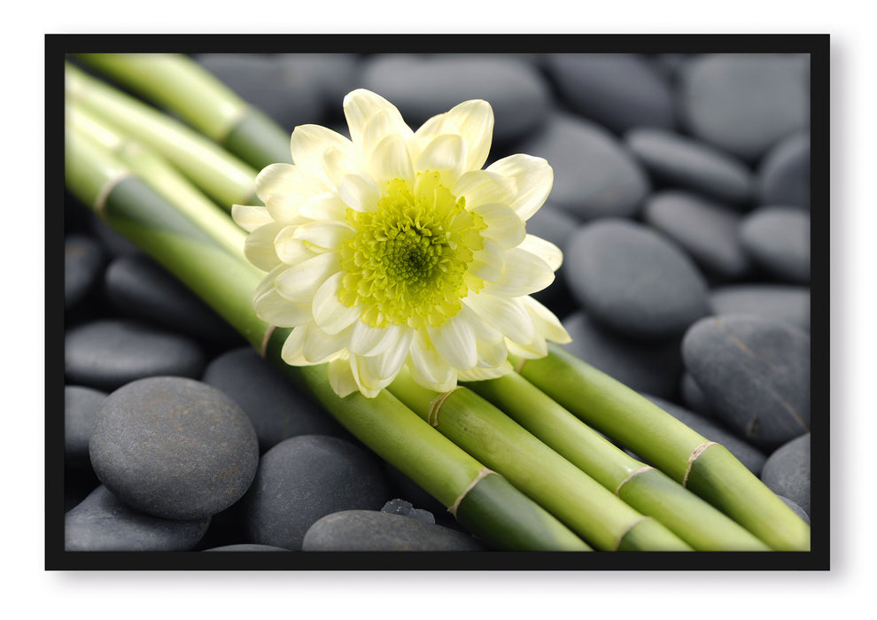 Pixxprint Kleine Blüte auf Bambus, Poster mit Bilderrahmen