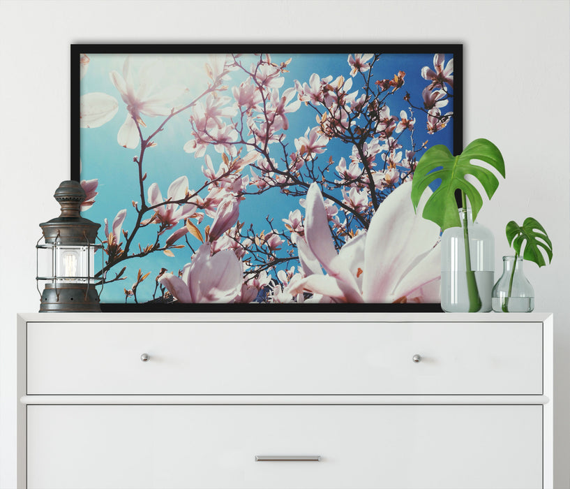 Zarte Rosa Magnolie Blüten, Poster mit Bilderrahmen