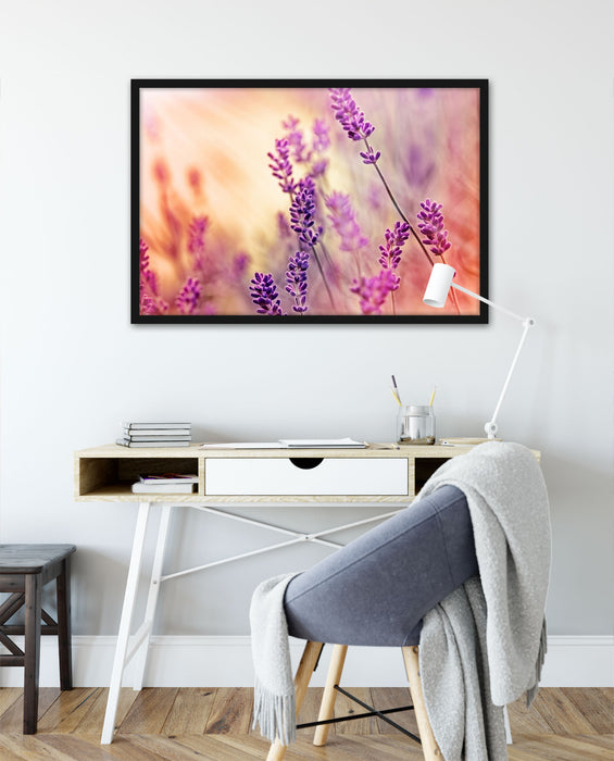 Eleganter Lavendel, Poster mit Bilderrahmen