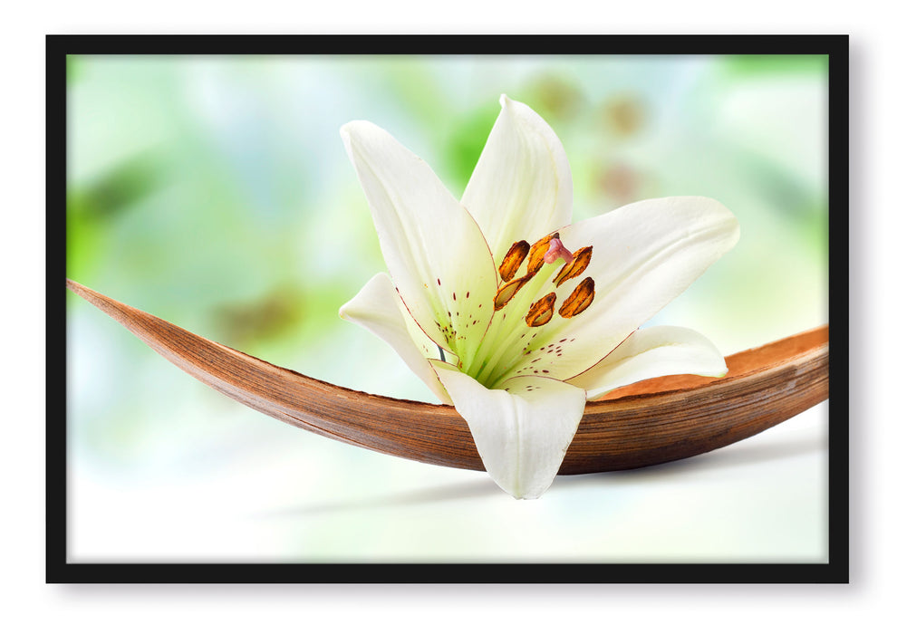 Pixxprint Lilie Blüte Bananenblatt, Poster mit Bilderrahmen