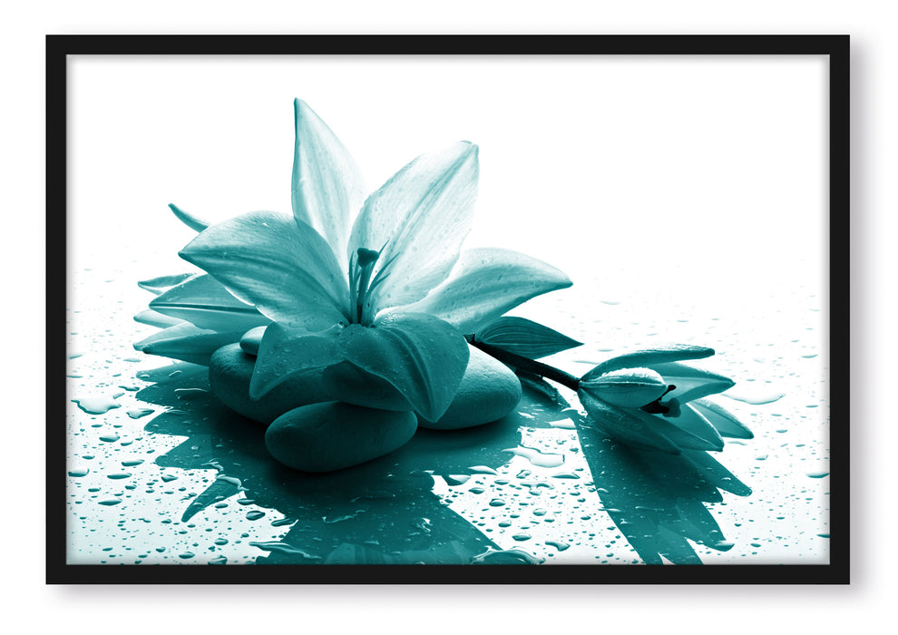 Pixxprint Düstere Lilie mit Zen Steinen, Poster mit Bilderrahmen
