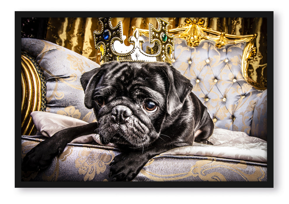 Pixxprint Süßer Mops auf dem Thron, Poster mit Bilderrahmen