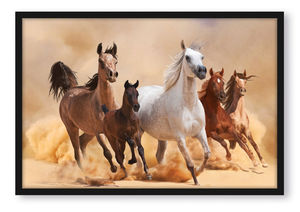 Pixxprint Western Pferde mit Fohlen, Poster mit Bilderrahmen