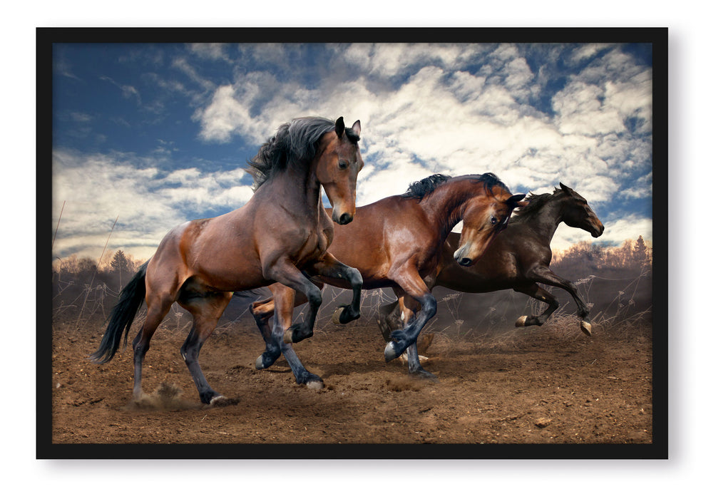 Pixxprint Wilde freie Pferde, Poster mit Bilderrahmen