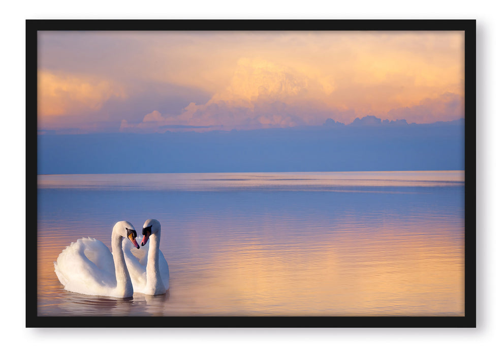 Pixxprint Schwäne in Abenddämmerung, Poster mit Bilderrahmen