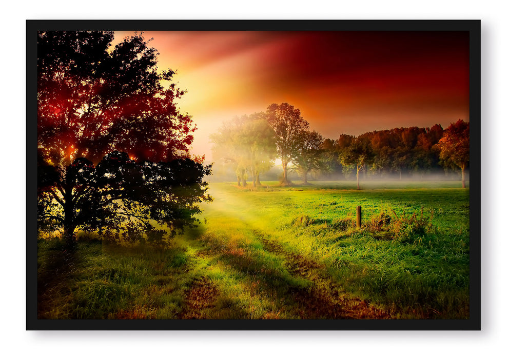 Pixxprint Sonnenuntergang an Lichtung, Poster mit Bilderrahmen