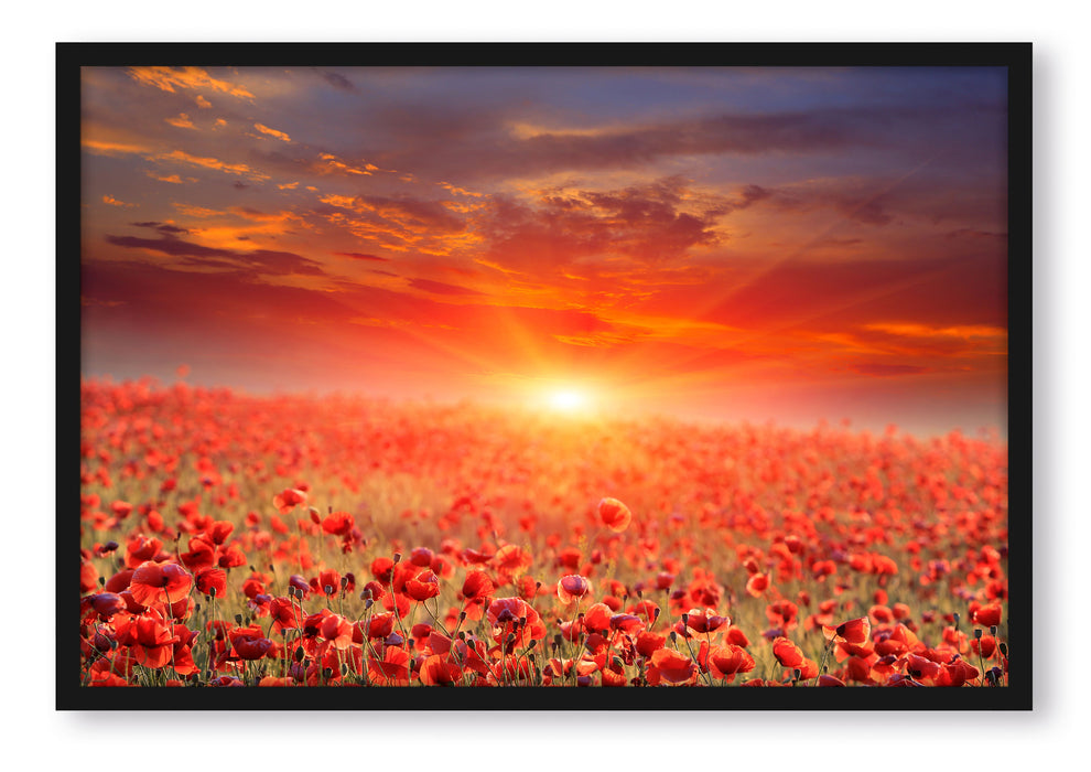 Pixxprint Mohnblütenfeld bei Sonnenuntergang, Poster mit Bilderrahmen