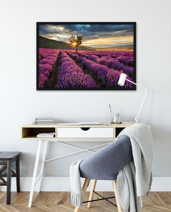 Lavendel Provence mit Baum, Poster mit Bilderrahmen