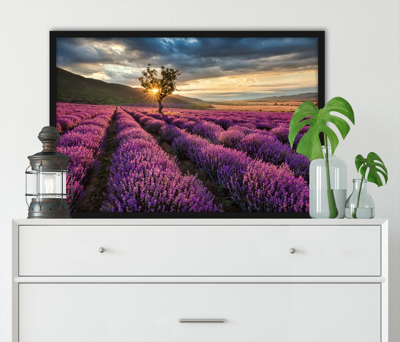 Lavendel Provence mit Baum, Poster mit Bilderrahmen