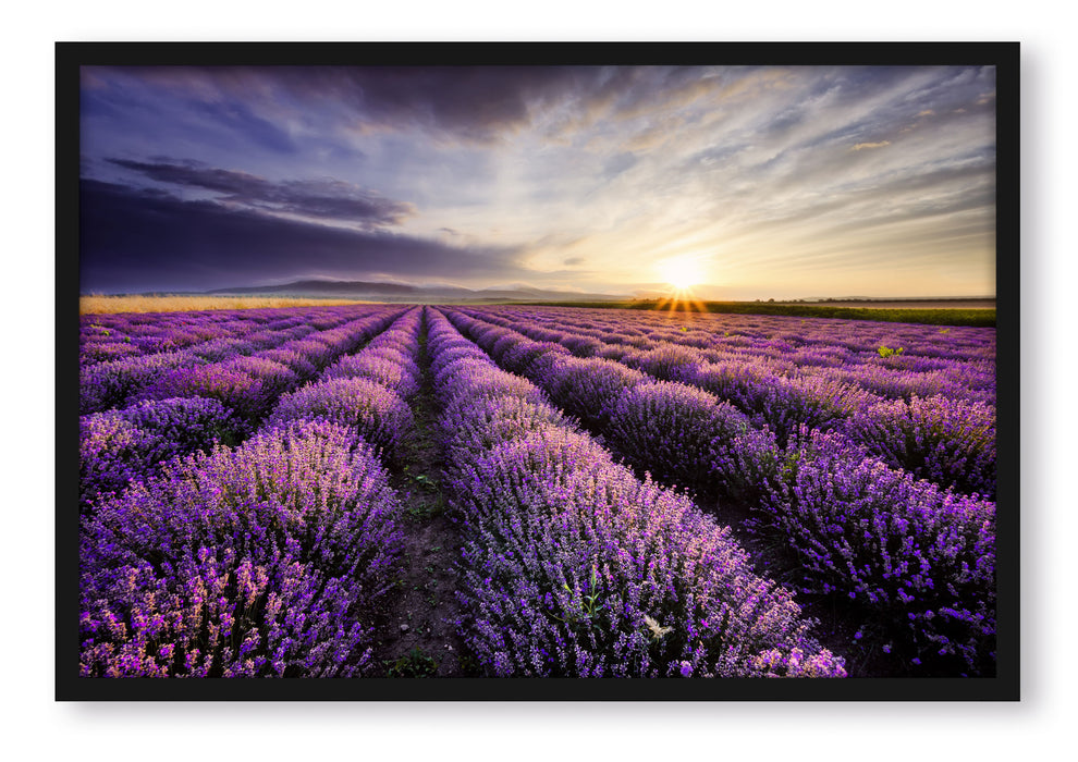 Pixxprint Traumhafte Lavendel Provence, Poster mit Bilderrahmen