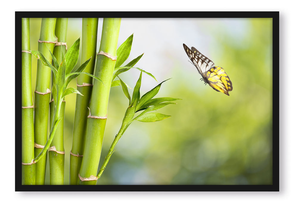 Bambus mit Schmetterling, Poster mit Bilderrahmen