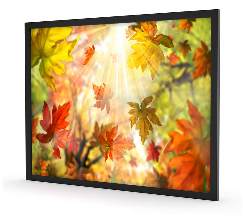 Fliegende bunte Herbstblätter, Poster mit Bilderrahmen
