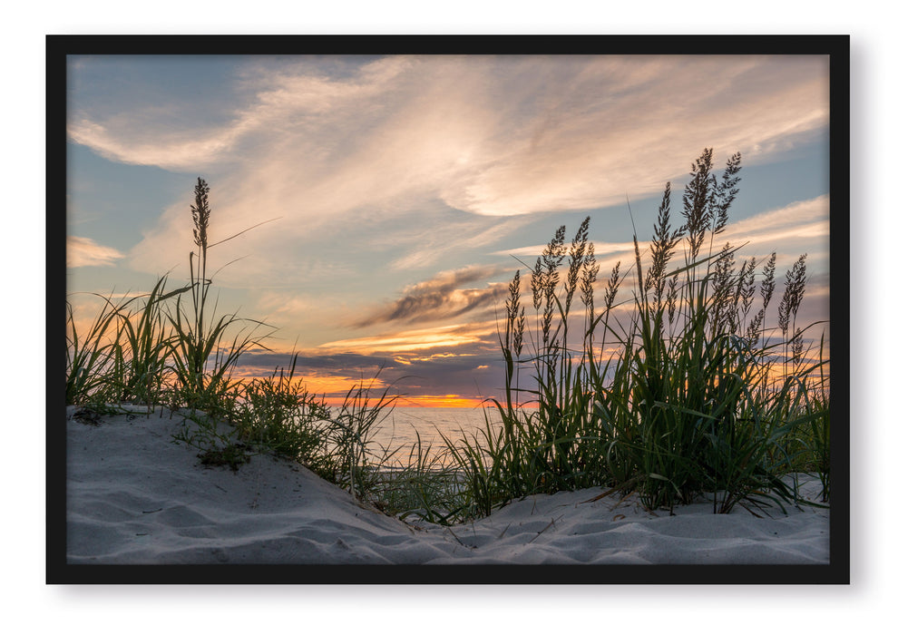 Gras am Strand bei Sonnenuntergang, Poster mit Bilderrahmen