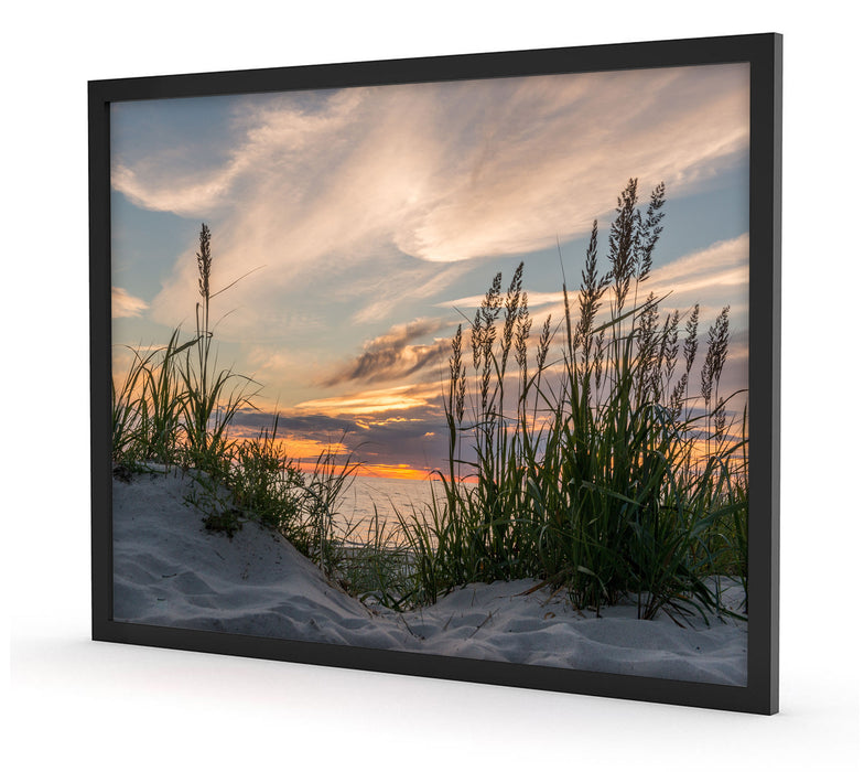 Gras am Strand bei Sonnenuntergang, Poster mit Bilderrahmen