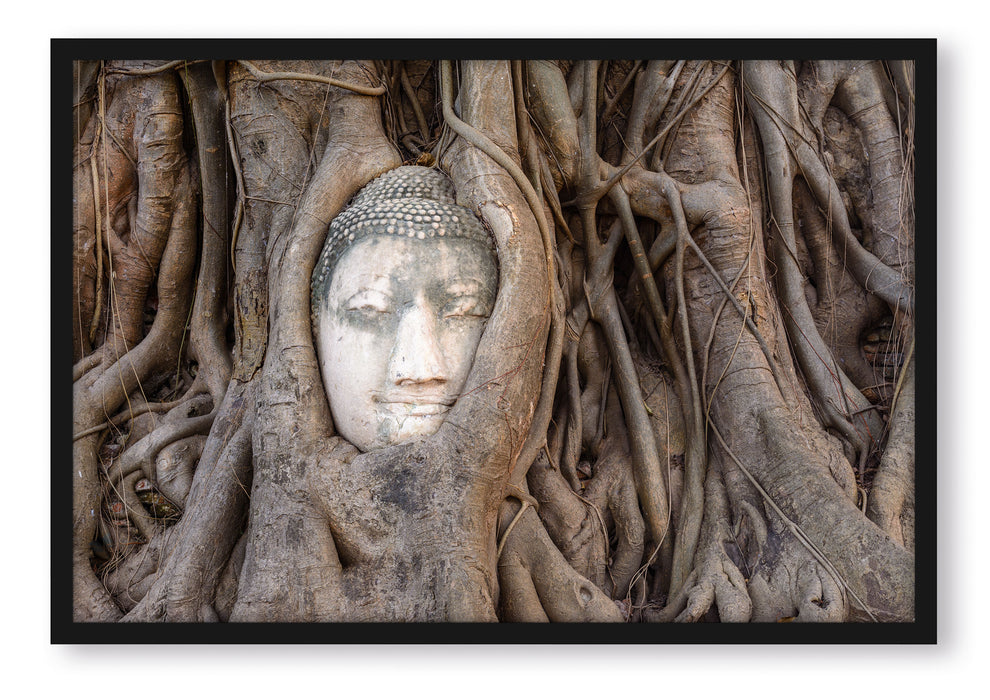 Pixxprint Buddha Kopf im Baum, Poster mit Bilderrahmen