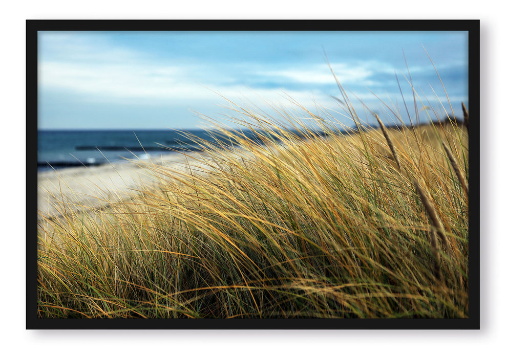 Pixxprint Schilf Gras am Ufer, Poster mit Bilderrahmen