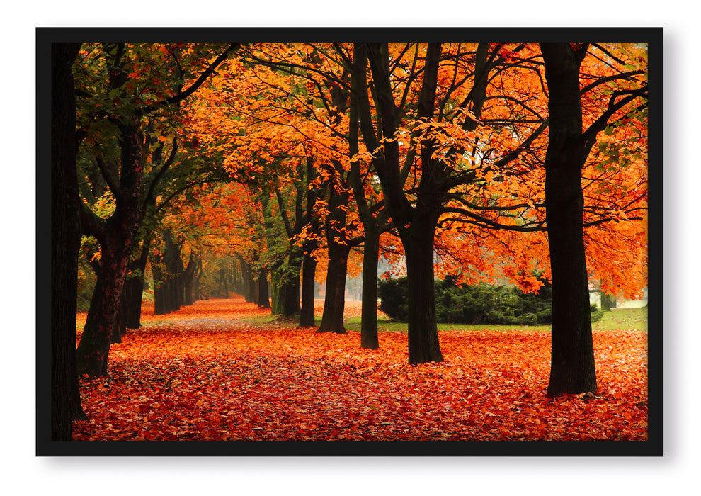 Baumallee im Herbst, Poster mit Bilderrahmen