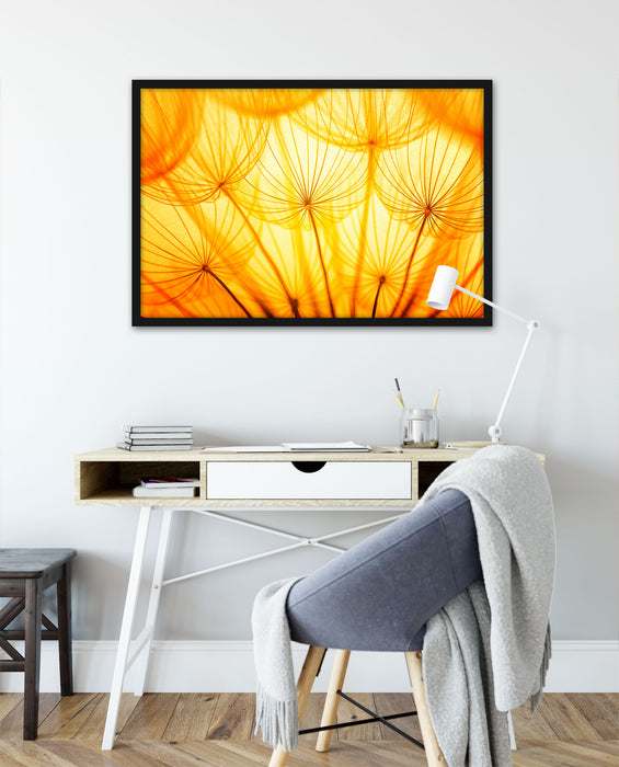 Pusteblumen oranges Licht, Poster mit Bilderrahmen