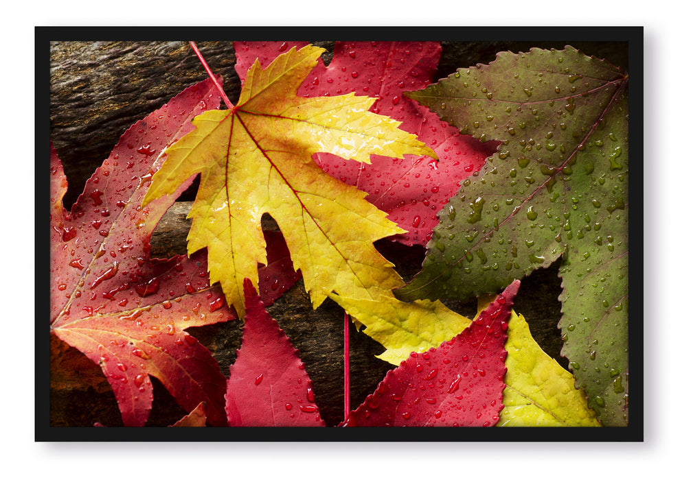 Bunte Herbstblätter, Poster mit Bilderrahmen