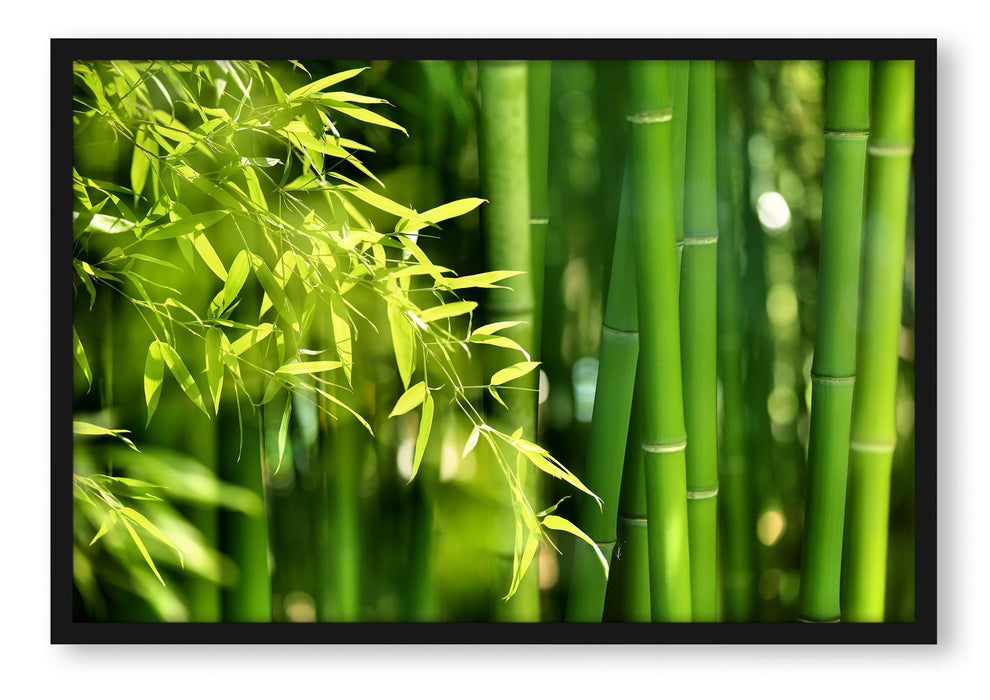 Bambus mit Blättern, Poster mit Bilderrahmen