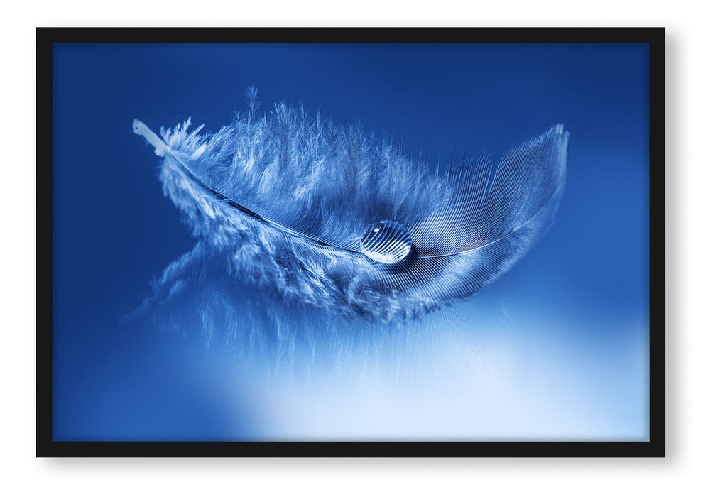 Pixxprint Wassertropfen auf Feder, Poster mit Bilderrahmen