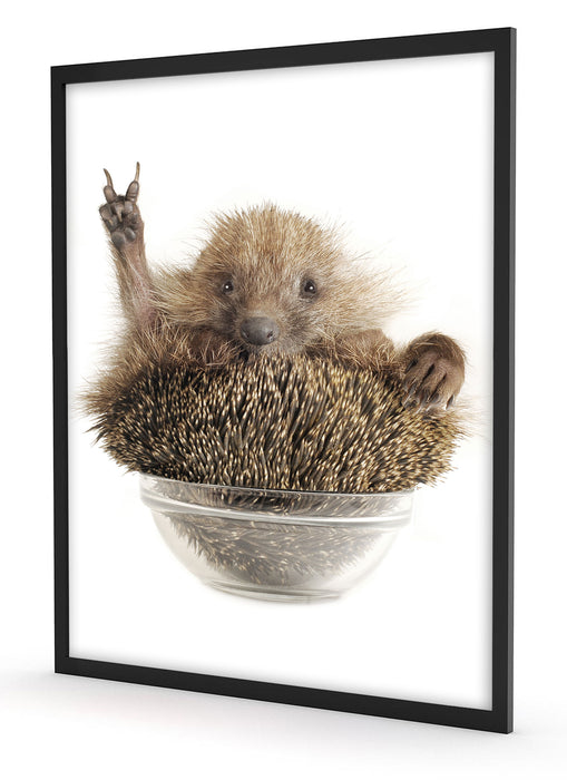 Igel in einer Schüssel Peace, Poster mit Bilderrahmen