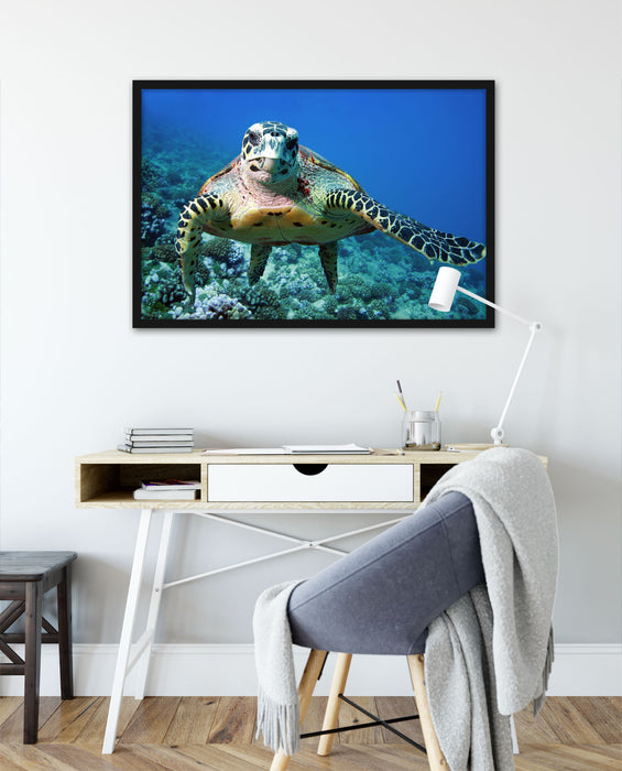 Schildkröte  Korallenriff, Poster mit Bilderrahmen