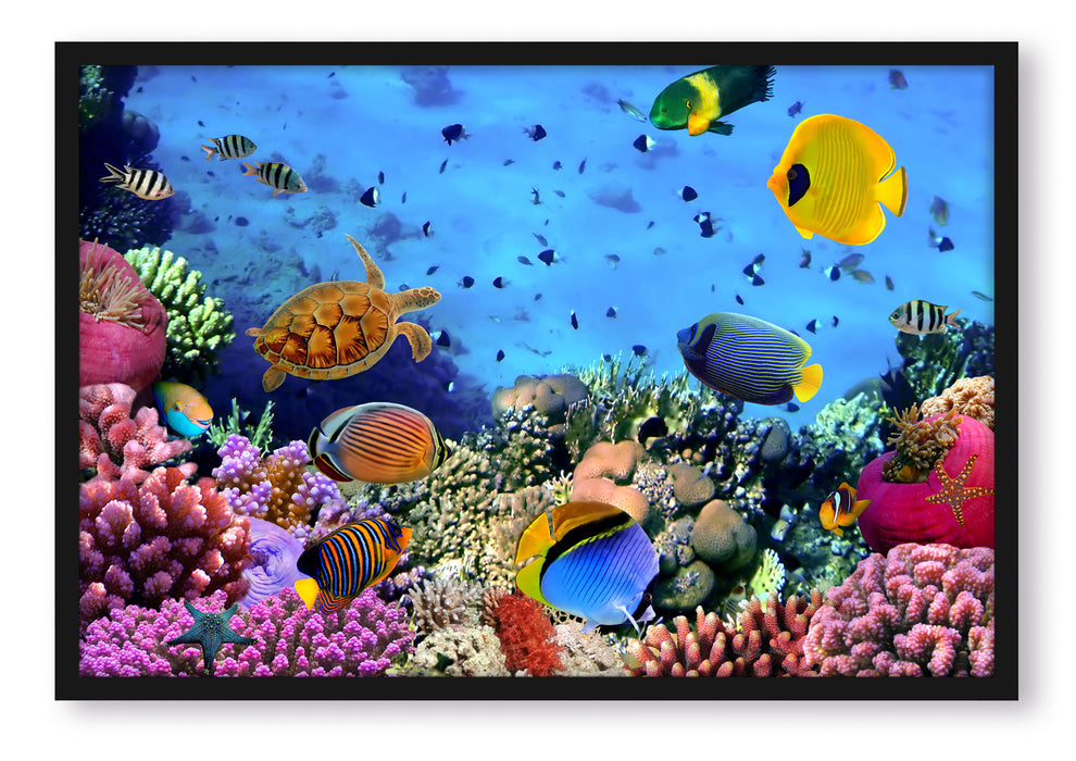 Fische über Korallenriff, Poster mit Bilderrahmen