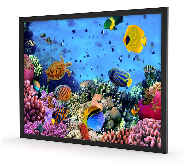 Fische über Korallenriff, Poster mit Bilderrahmen