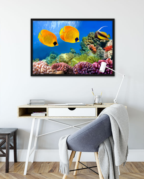 Fische Korallenriff, Poster mit Bilderrahmen