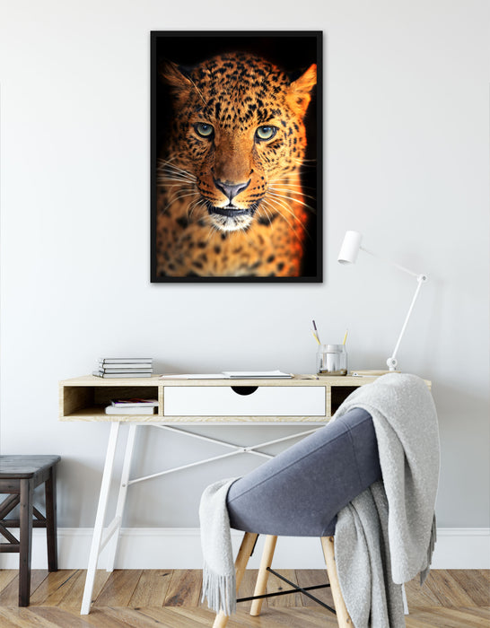 Stolzer Leopard, Poster mit Bilderrahmen