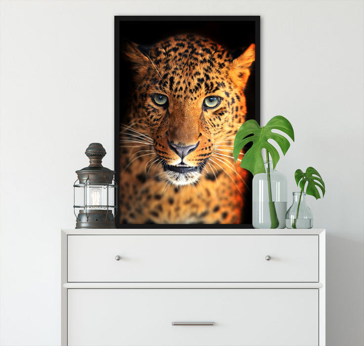 Stolzer Leopard, Poster mit Bilderrahmen