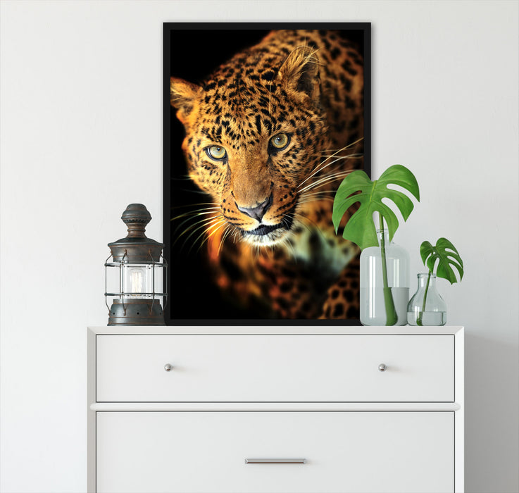 Anmutiger Leopard, Poster mit Bilderrahmen